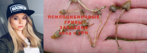 прущие крисы Зеленокумск