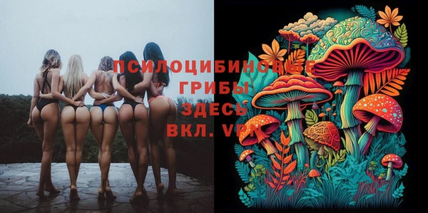 прущие крисы Зеленокумск