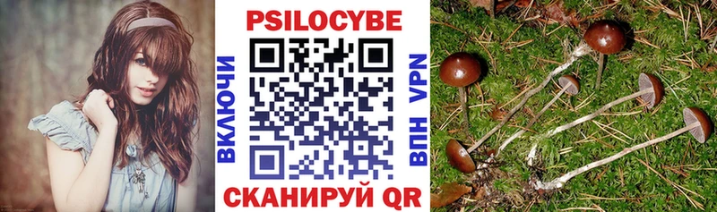 Псилоцибиновые грибы Psilocybine cubensis  Жуковка 