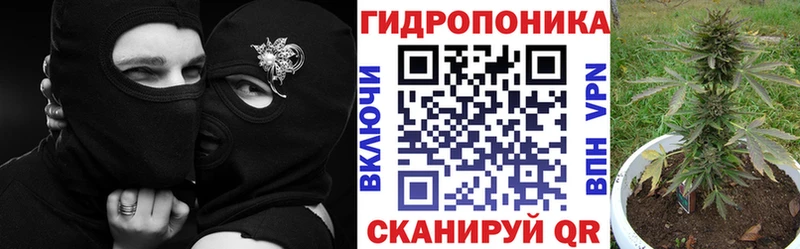 хочу   Жуковка  Канабис White Widow 